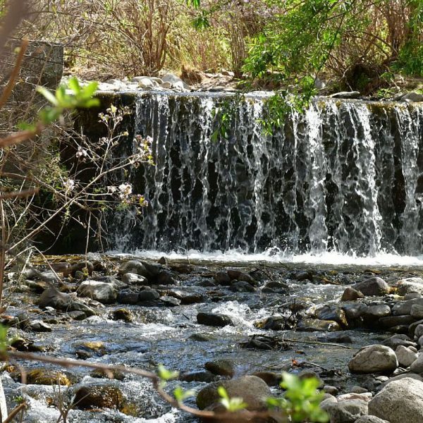 Captación de agua para consumo en la quebrada de Agua Negra de Chilecito